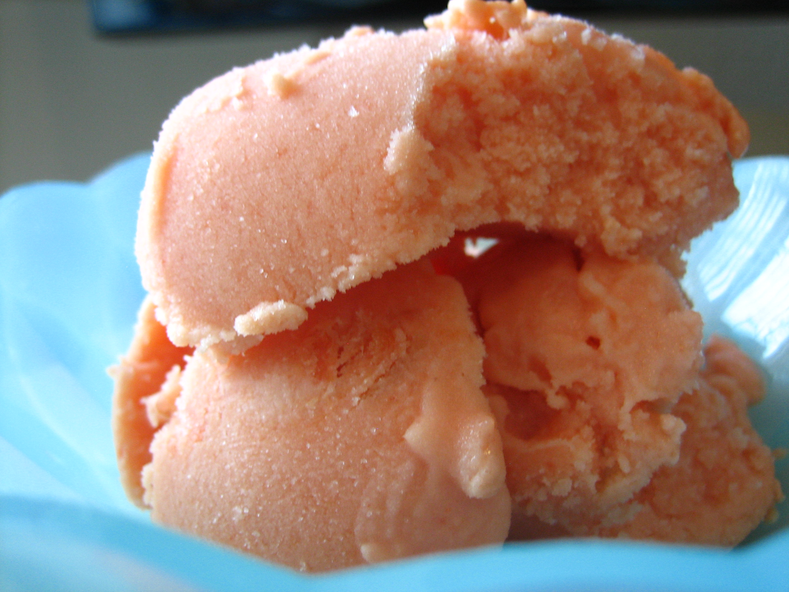 Mamey Dessert